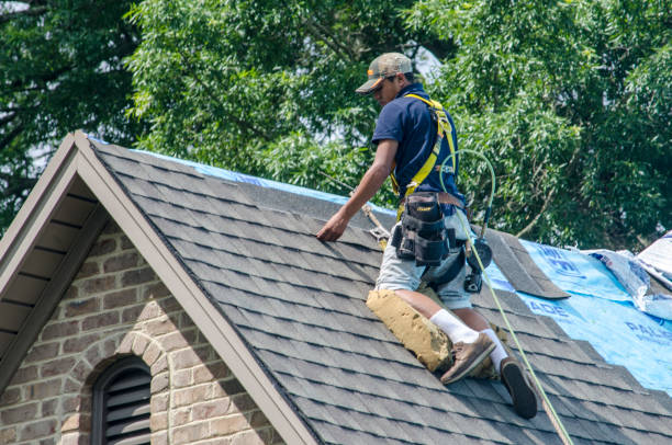 Roof Waterproofing Services in Black Rock, NM
